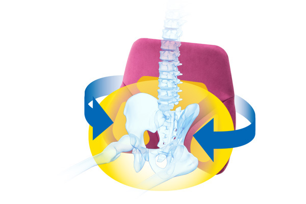 骨盤サポート構造で<br />
腰の負担を軽減。