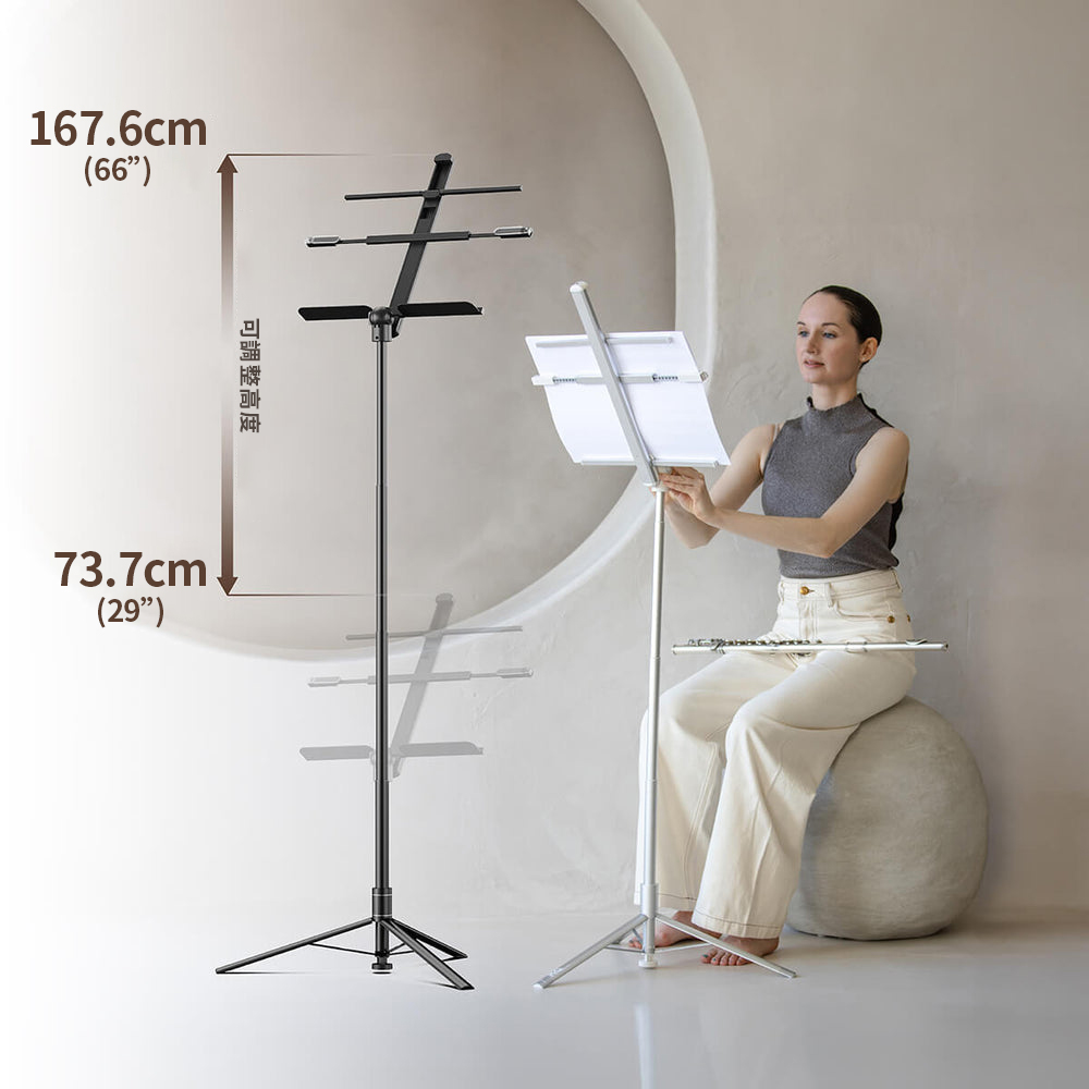 Capsule Music Stand